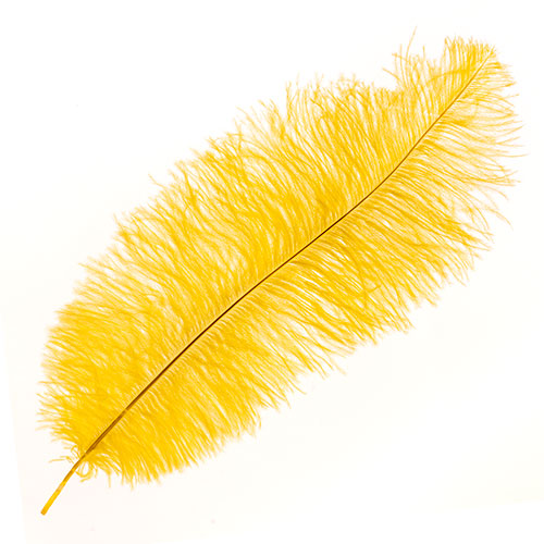 Ostrich Drab Feathers 11-13in (1pc) Yellow image