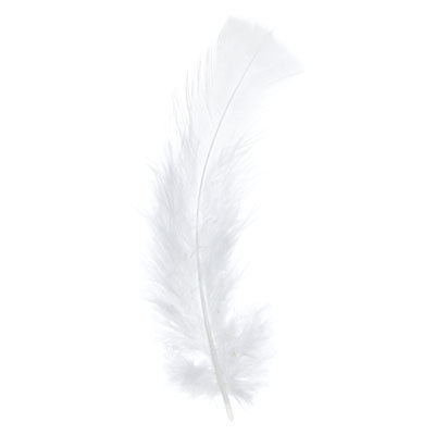 Marabou Feathers Bulk White image