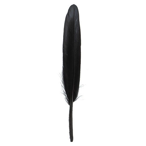 Duck Wing Quill 3-4in Black (3Headers x 24pcs) image