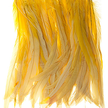Coque Feathers 14-16in Strung Premium 1yd Yellow image