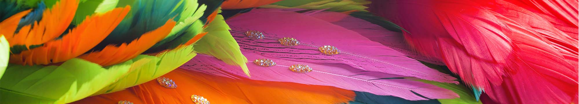 Feathers Feathers