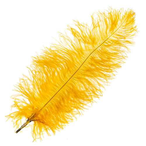 Ostrich drab sales