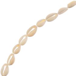 Category Shell Beads image
