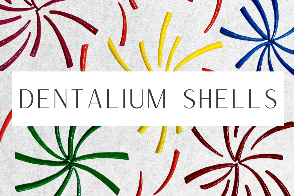 New Waterproof Dentalium Shells